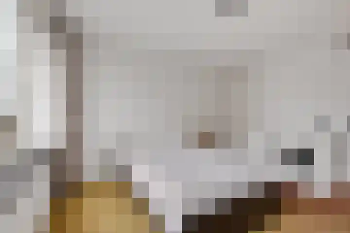 Palet 18 Hillegom thumbnail 13