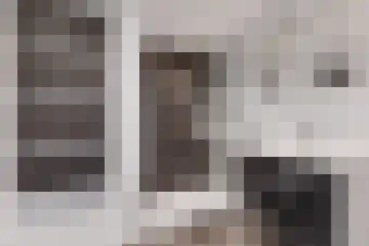 Palet 18 Hillegom thumbnail 15