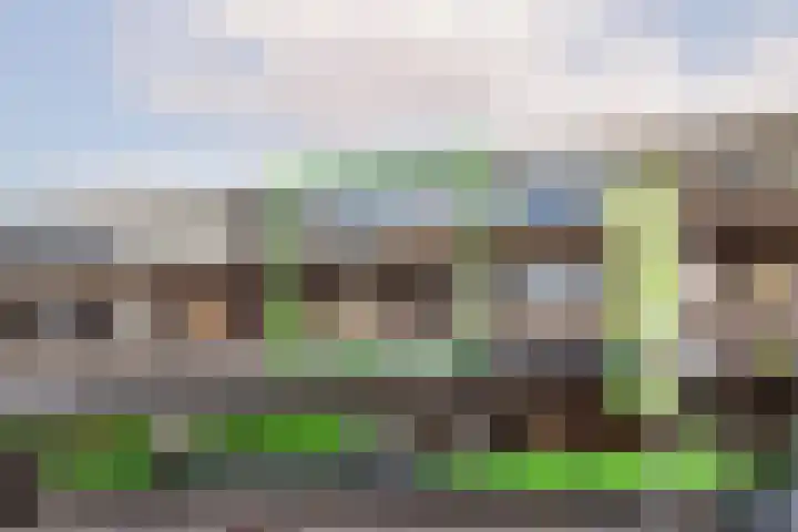 Palet 18 Hillegom thumbnail 19
