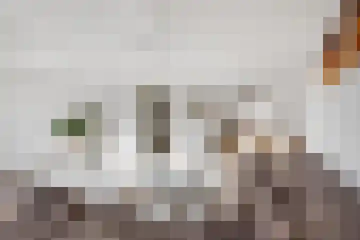 Palet 18 Hillegom foto 2