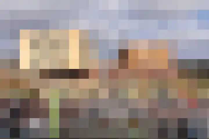 Palet 18 Hillegom thumbnail 20