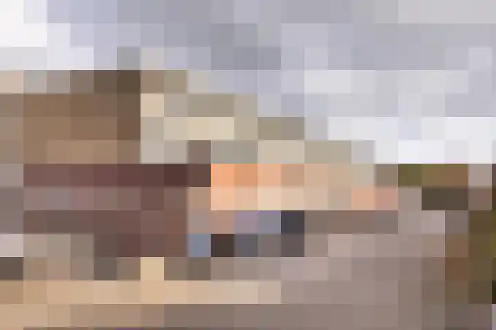 Palet 18 Hillegom thumbnail 21