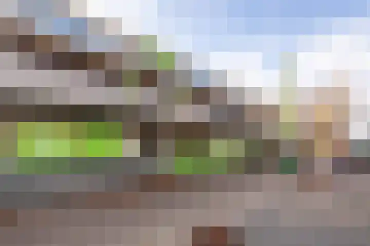 Palet 18 Hillegom thumbnail 22