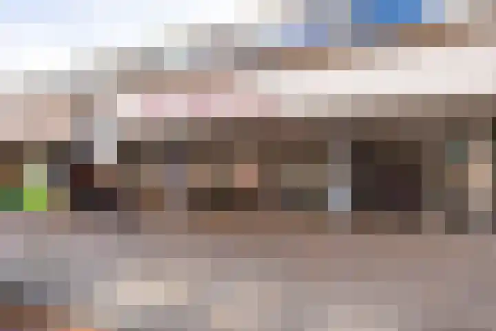 Palet 18 Hillegom thumbnail 23