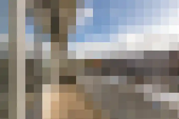 Palet 18 Hillegom thumbnail 4
