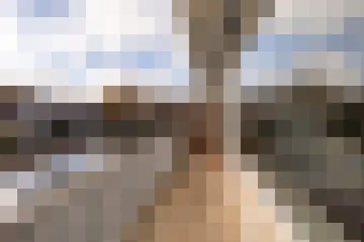 Palet 18 Hillegom thumbnail 5