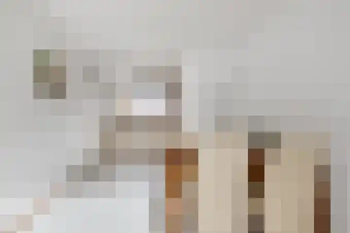 Palet 18 Hillegom thumbnail 6