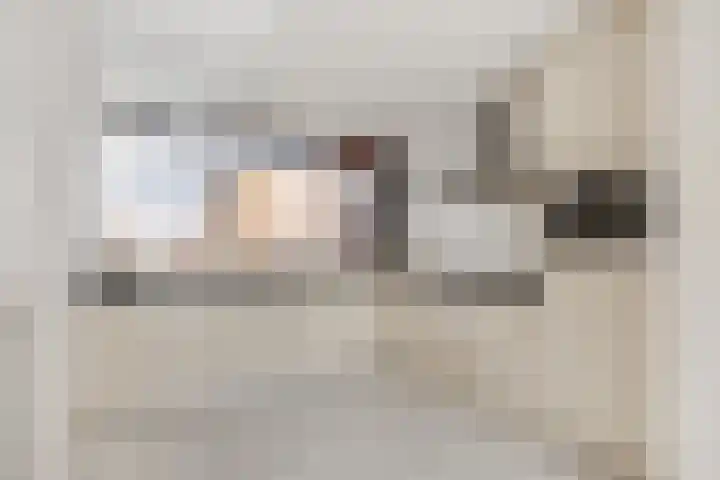 Palet 18 Hillegom thumbnail 7