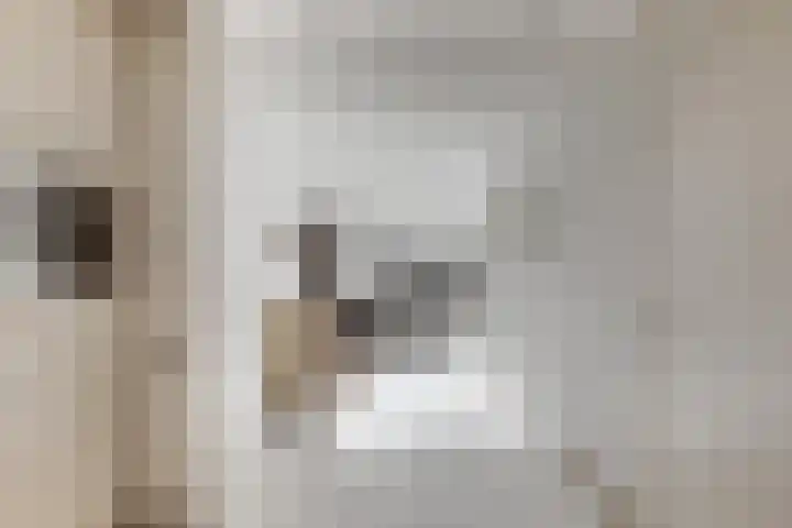 Palet 18 Hillegom thumbnail 8