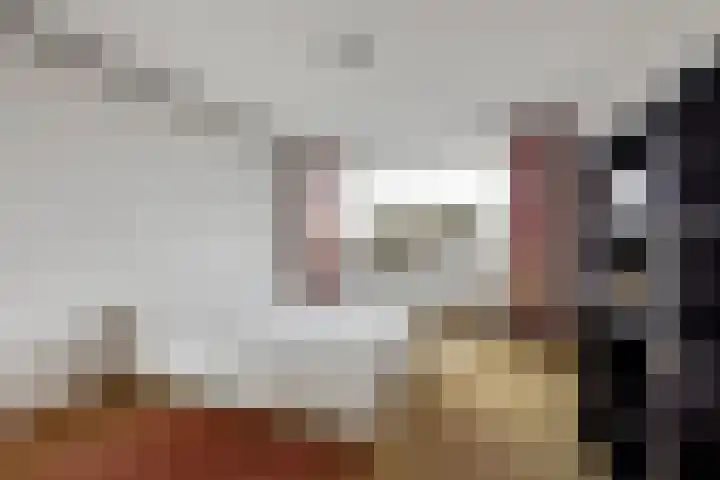 Palet 18 Hillegom thumbnail 9