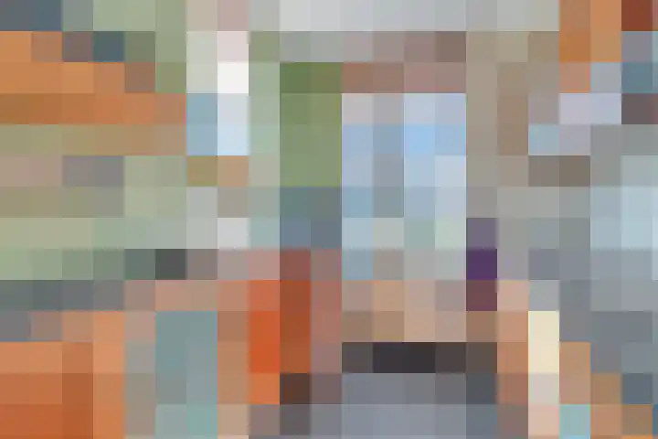 Palet 20 Almelo thumbnail 10