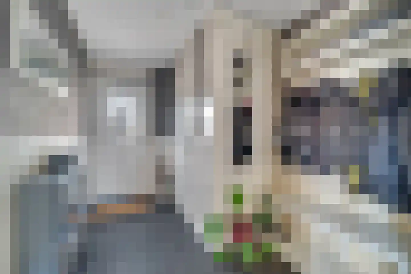 Palet 20 Almelo thumbnail 11
