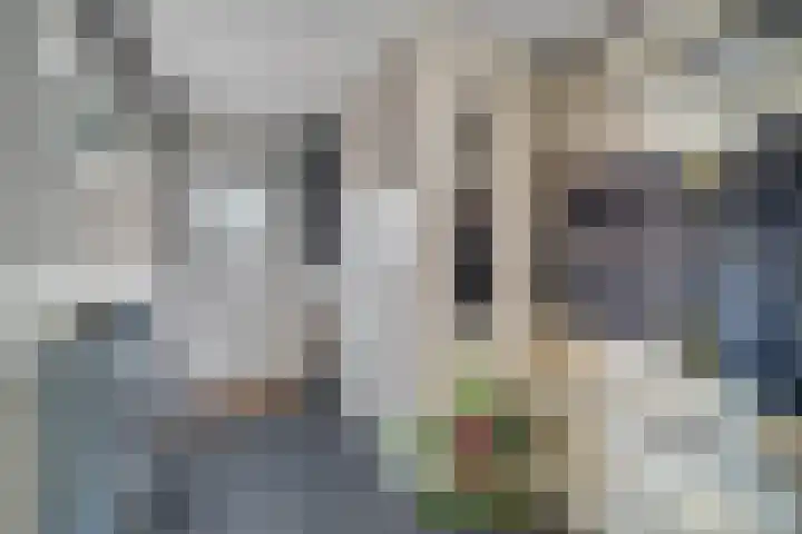 Palet 20 Almelo thumbnail 11