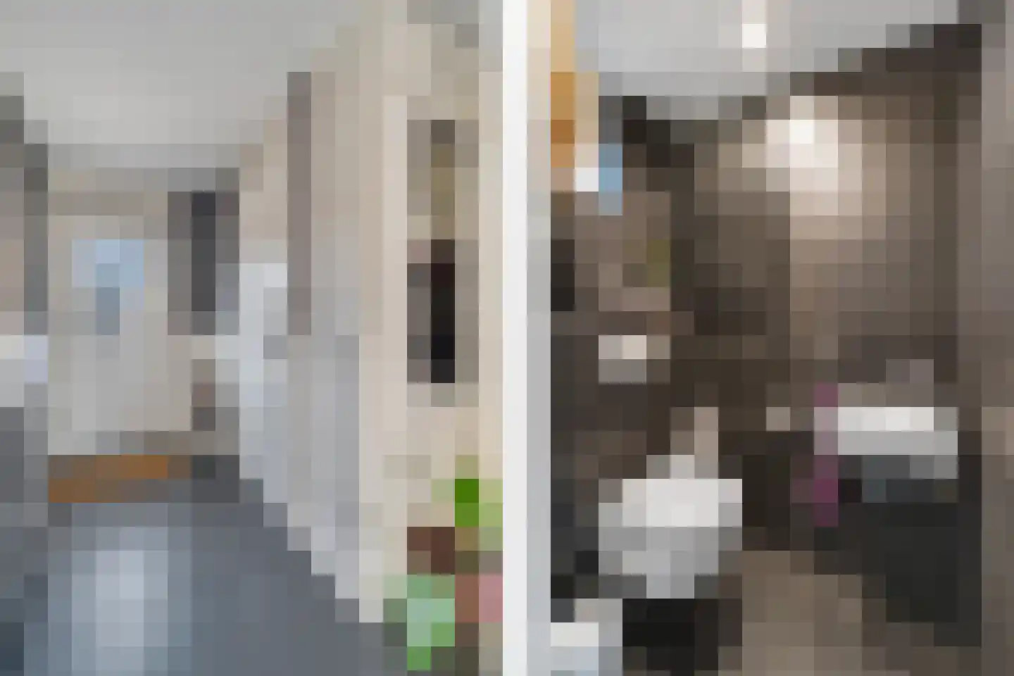Palet 20 Almelo thumbnail 12