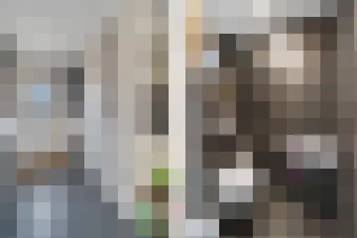 Palet 20 Almelo thumbnail 12