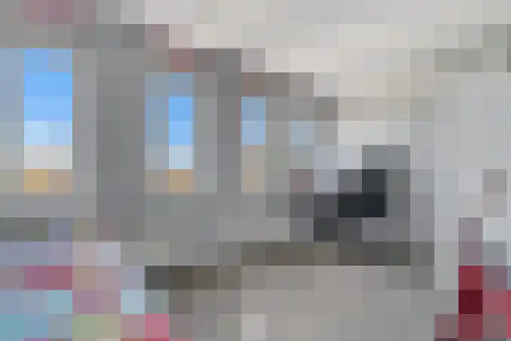 Palet 20 Almelo thumbnail 15