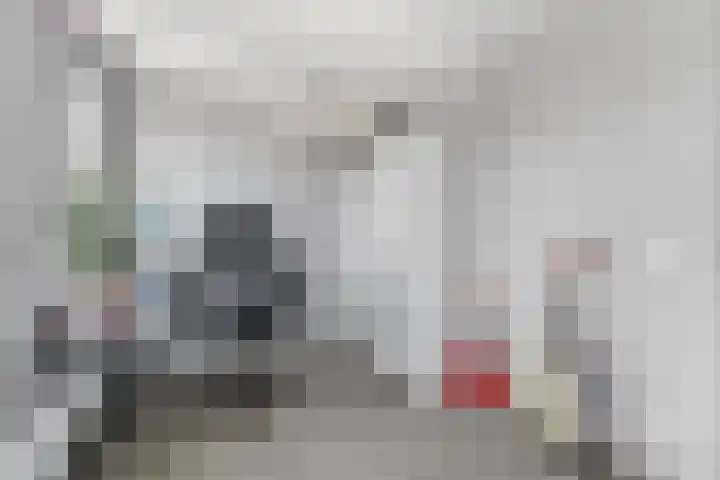 Palet 20 Almelo thumbnail 16