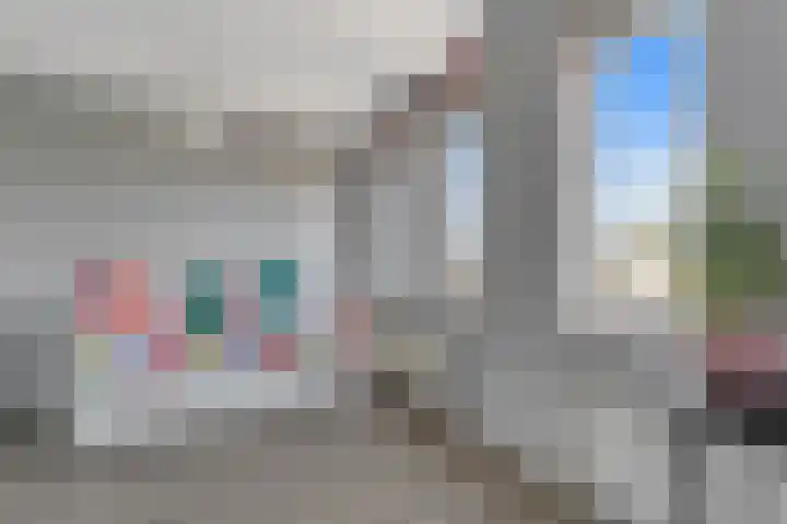 Palet 20 Almelo thumbnail 17