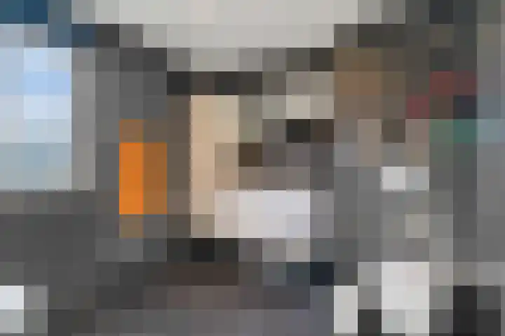 Palet 20 Almelo thumbnail 19