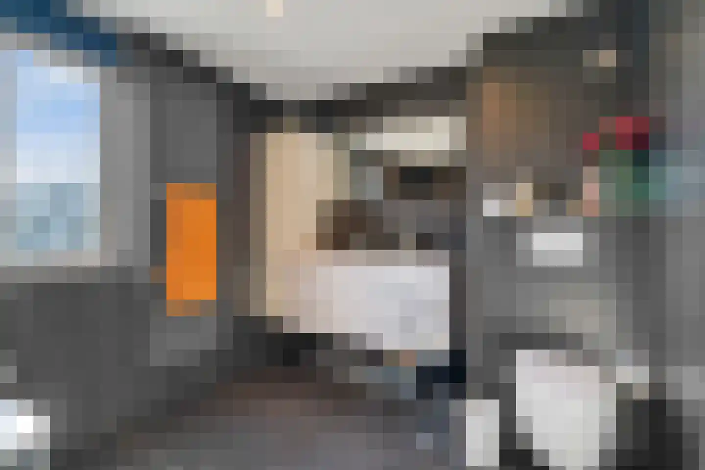 Palet 20 Almelo thumbnail 19