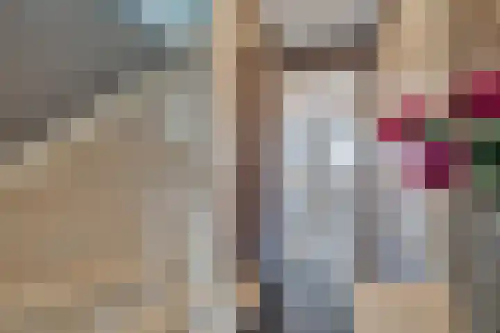 Palet 20 Almelo thumbnail 20
