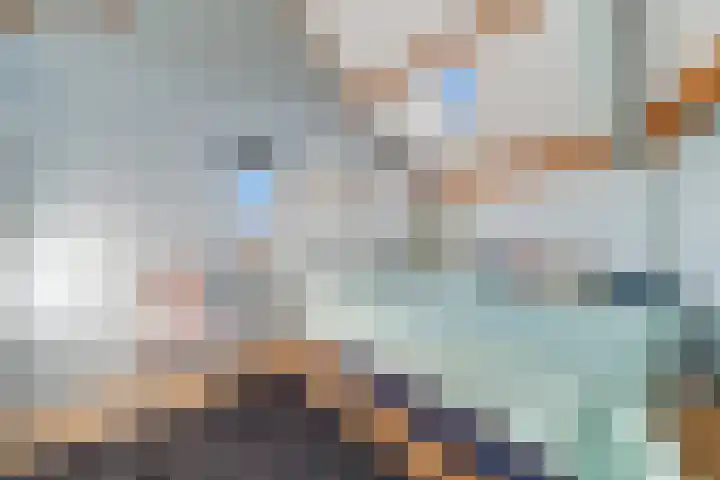 Palet 20 Almelo thumbnail 21