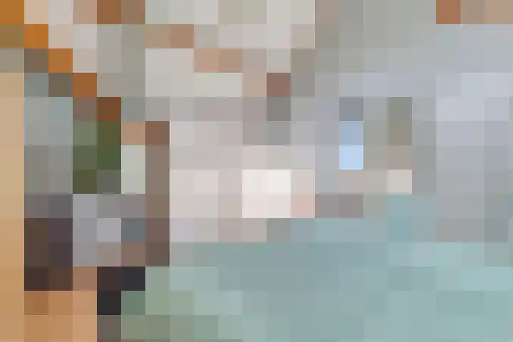 Palet 20 Almelo thumbnail 22