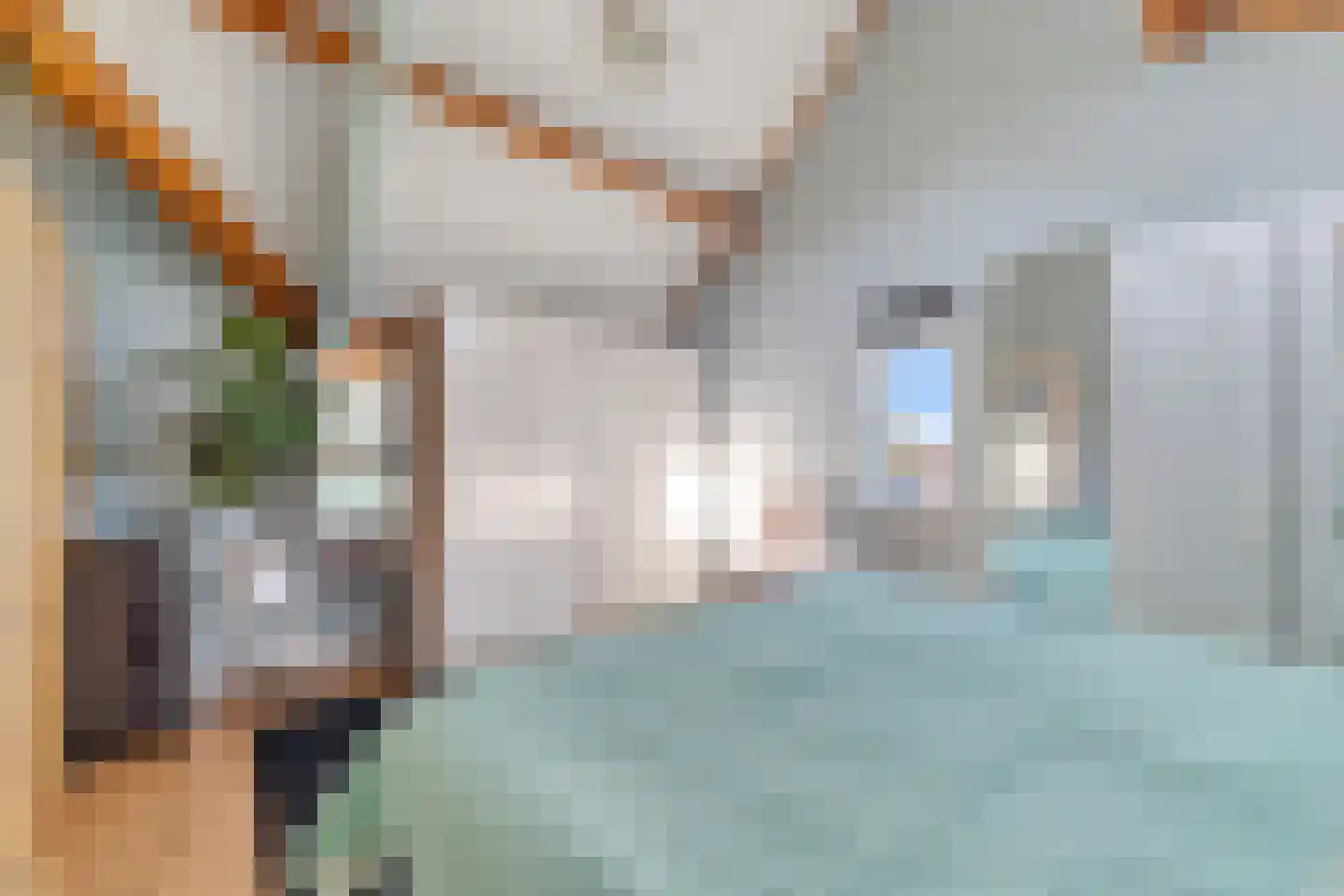 Palet 20 Almelo thumbnail 22