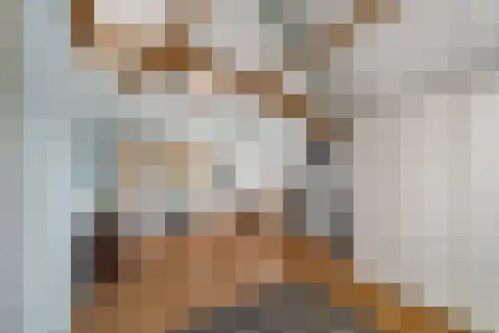 Palet 20 Almelo thumbnail 24
