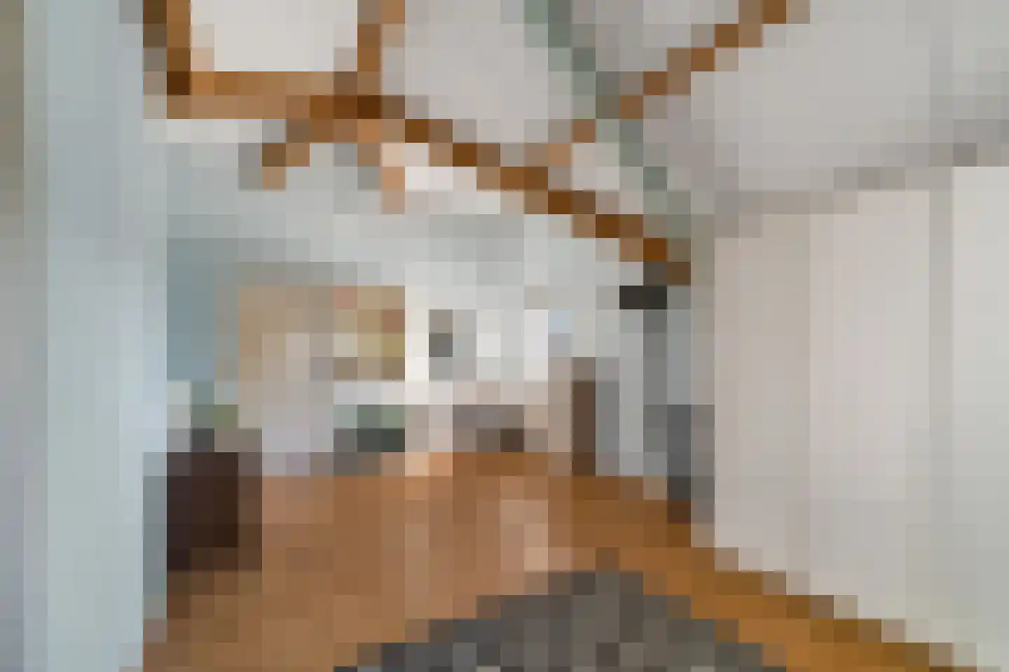 Palet 20 Almelo thumbnail 24