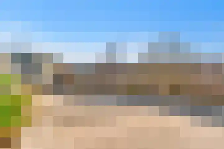 Palet 20 Almelo thumbnail 27