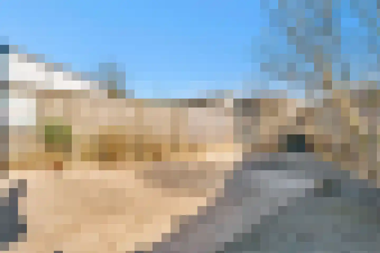 Palet 20 Almelo thumbnail 28