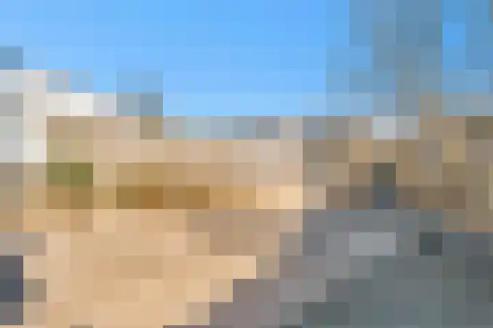 Palet 20 Almelo thumbnail 28