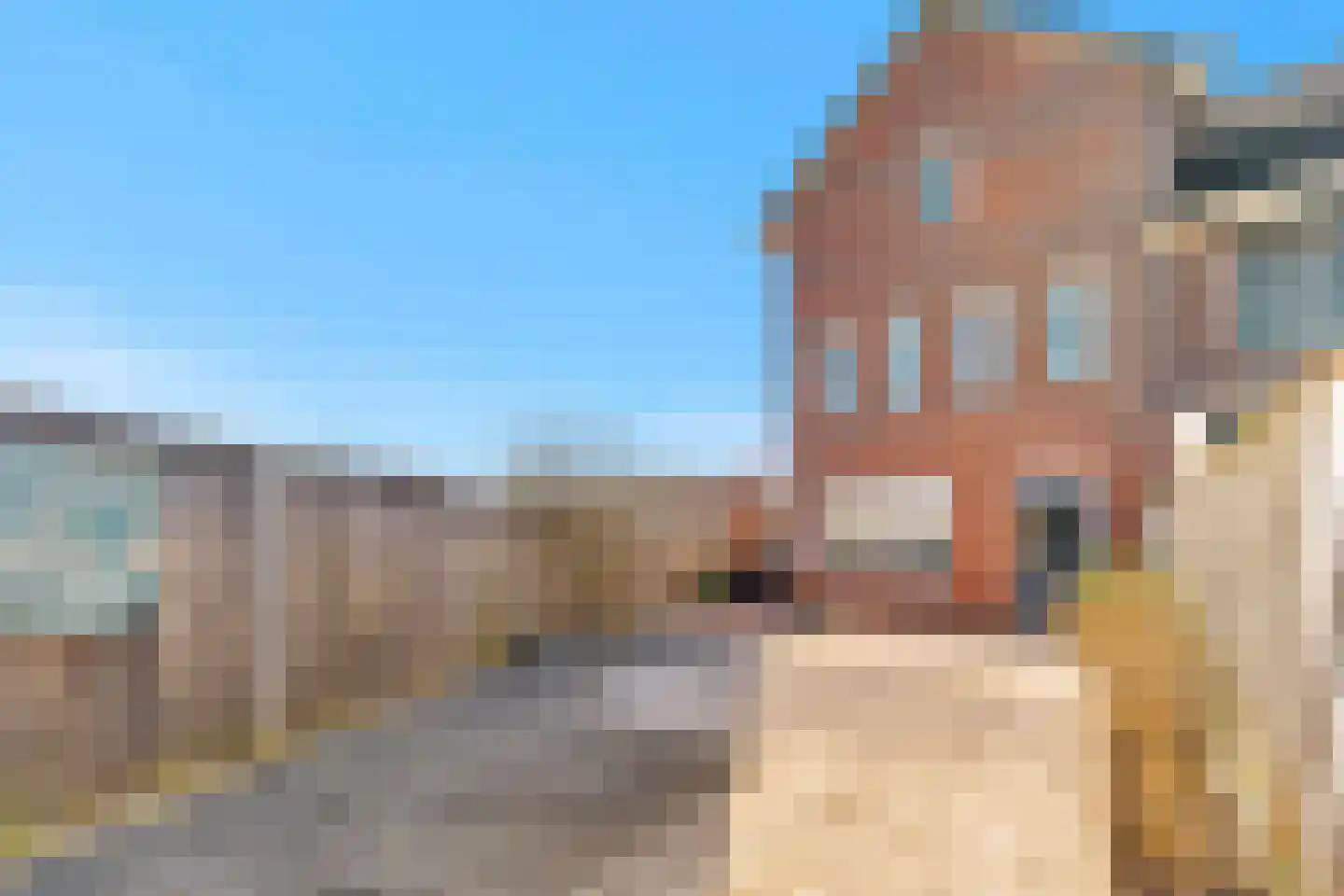 Palet 20 Almelo foto 3