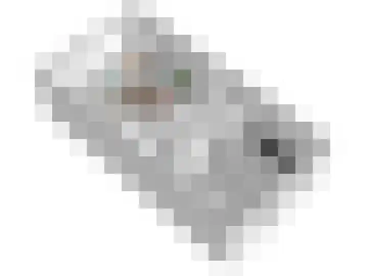 Palet 20 Almelo thumbnail 30