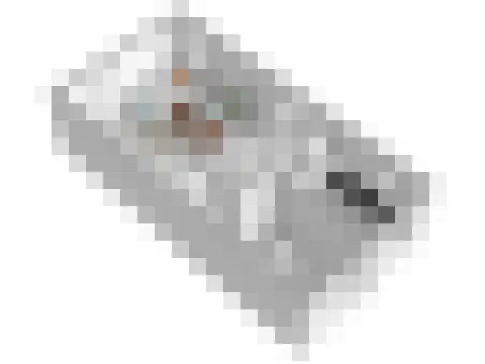 Palet 20 Almelo thumbnail 30