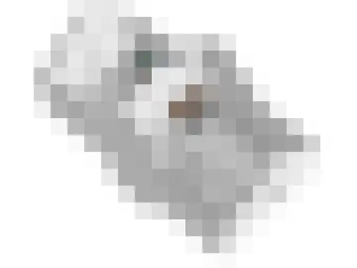 Palet 20 Almelo thumbnail 34