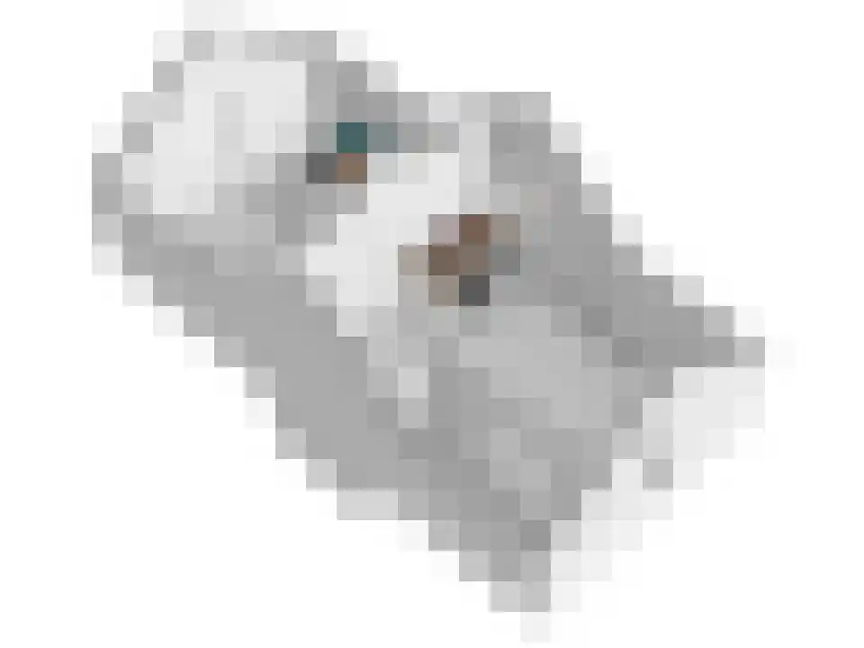 Palet 20 Almelo thumbnail 34