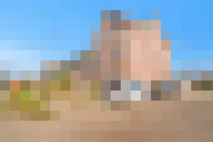 Palet 20 Almelo thumbnail 4