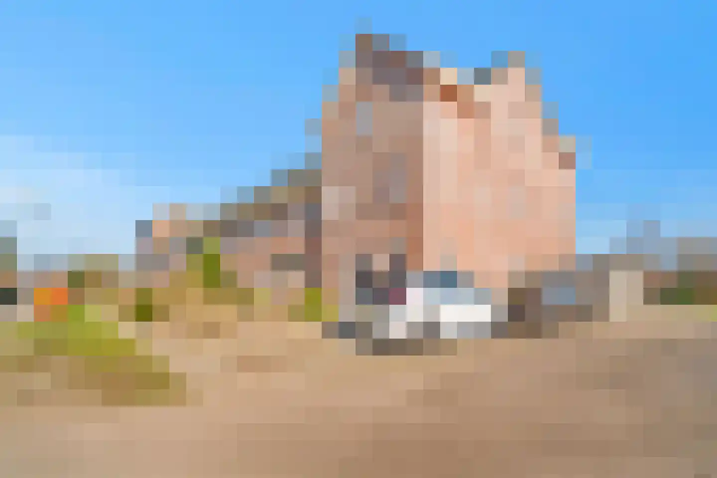 Palet 20 Almelo thumbnail 4