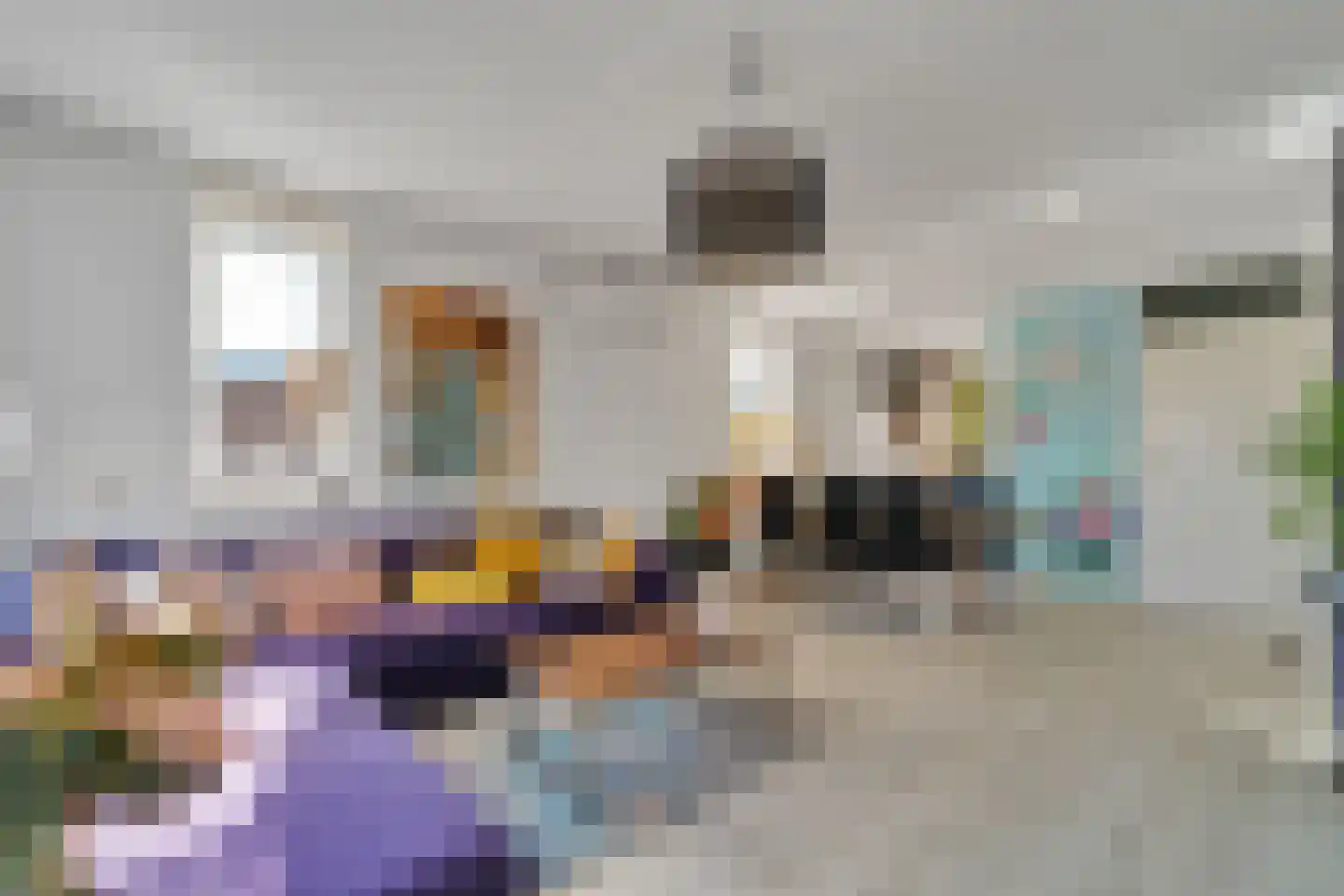 Palet 20 Almelo thumbnail 5
