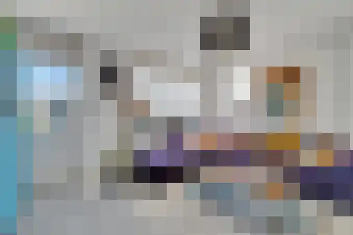 Palet 20 Almelo thumbnail 6