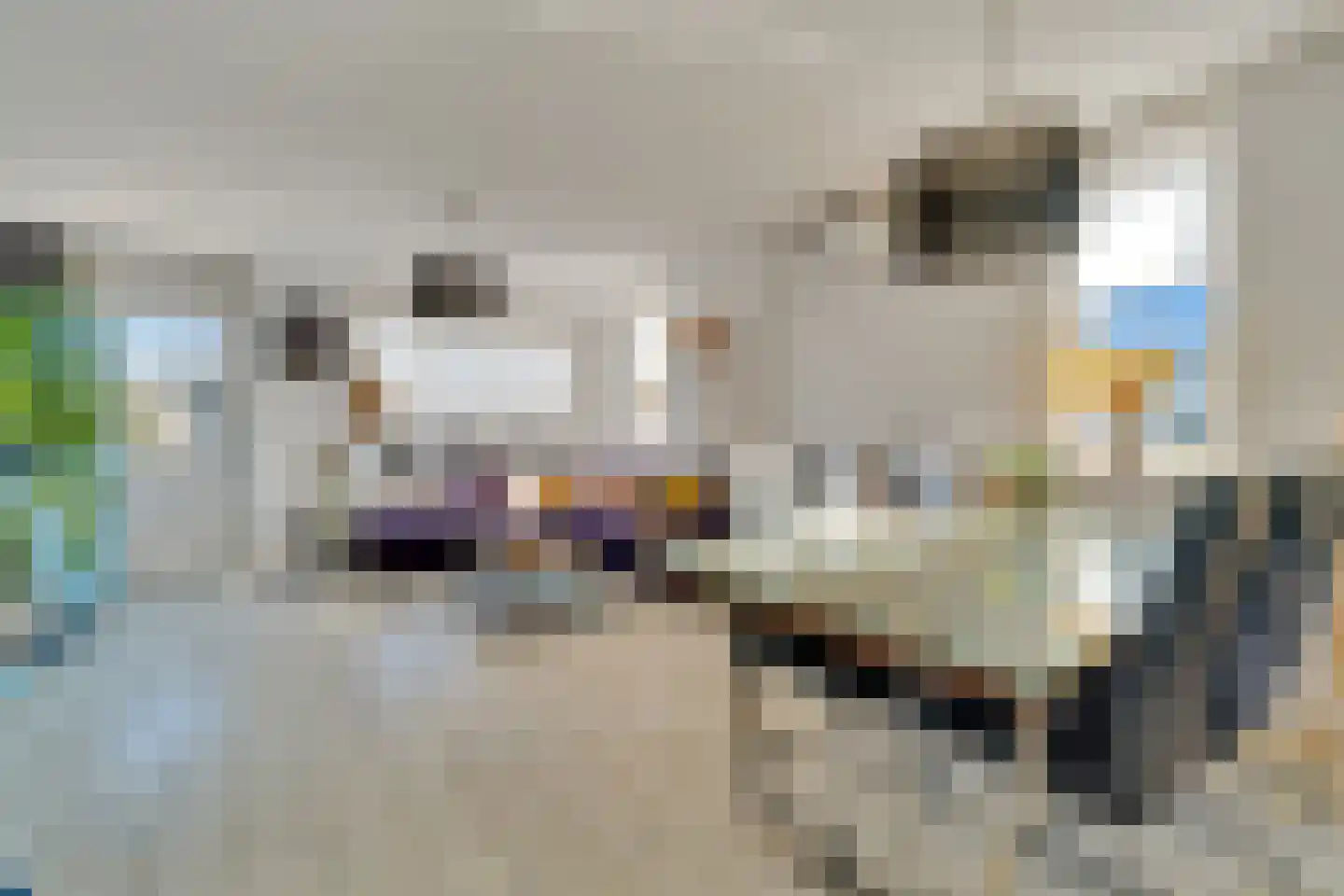 Palet 20 Almelo thumbnail 8
