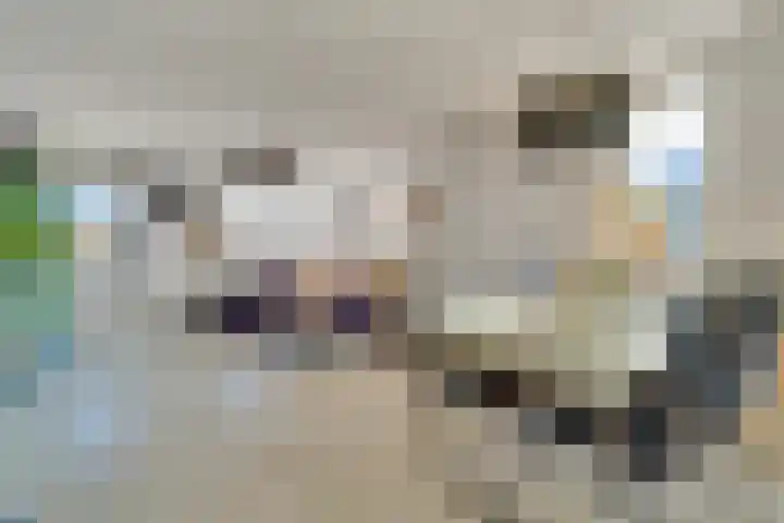 Palet 20 Almelo thumbnail 8