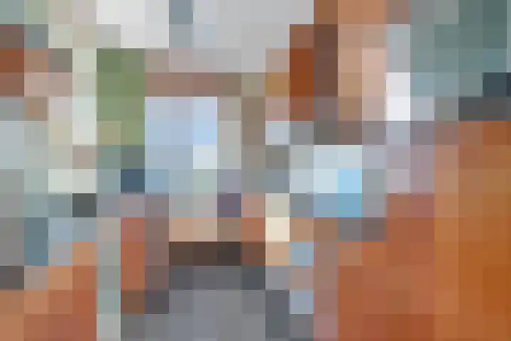 Palet 20 Almelo thumbnail 9