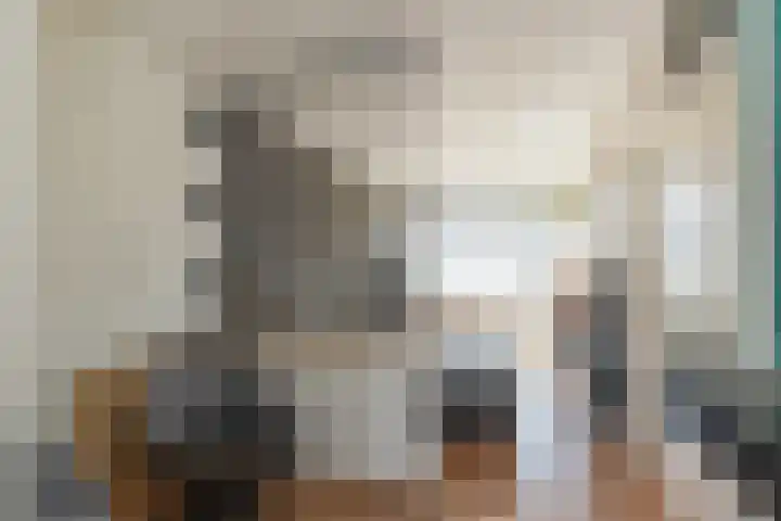 Palet 20 Hillegom thumbnail 11