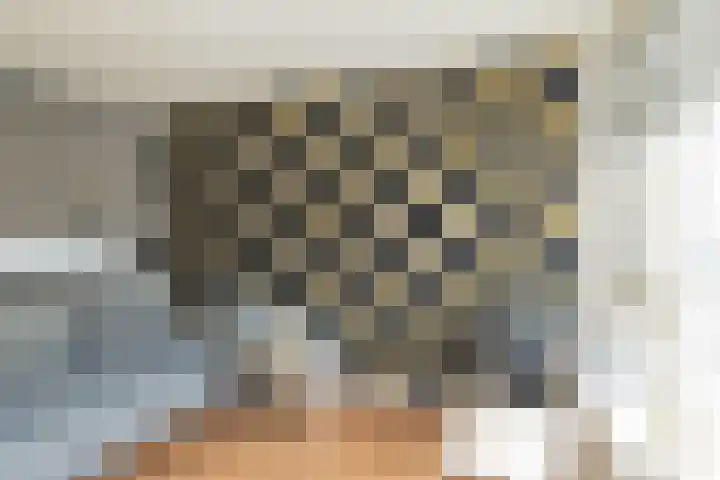 Palet 20 Hillegom thumbnail 13