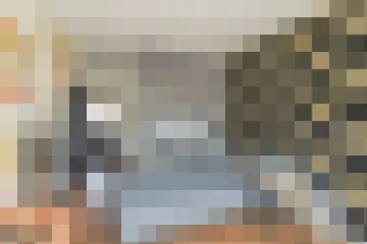Palet 20 Hillegom thumbnail 14
