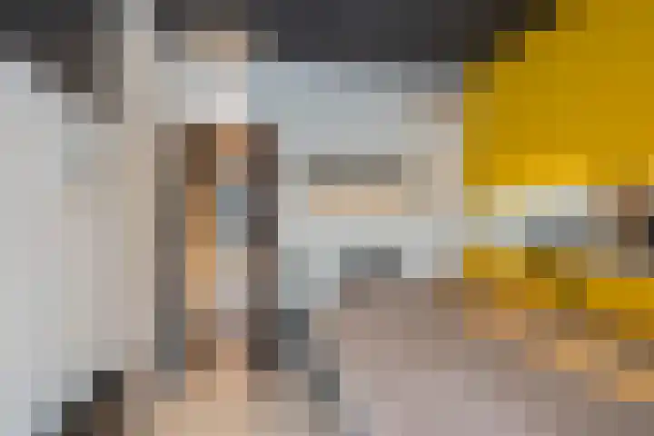 Palet 20 Hillegom thumbnail 15