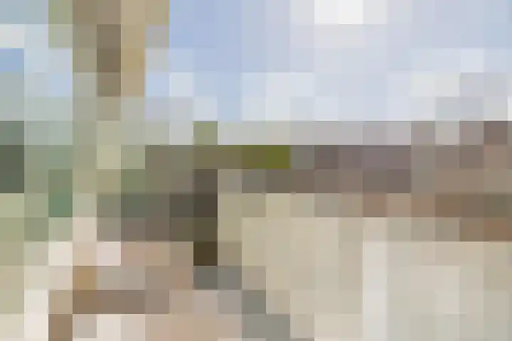 Palet 20 Hillegom thumbnail 17